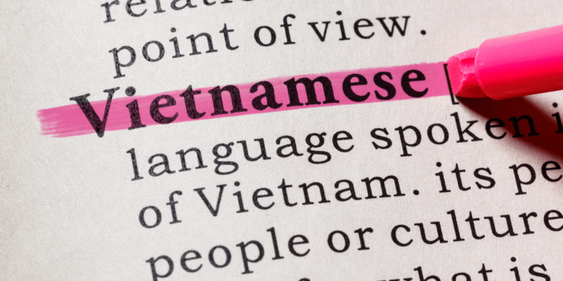 Language and Linguistics in Vietnam: An In-Depth Exploration