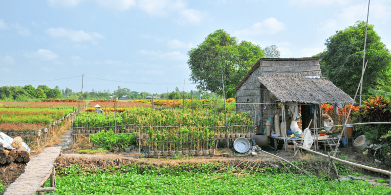 Đồng Tháp - Sa đéc