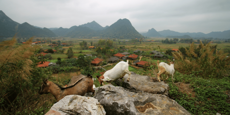 Lạng Sơn